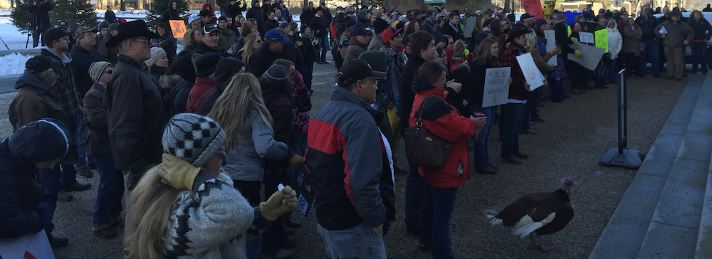 Around 200 protesters gathered at the Alberta Legislature on Nov. 27, 2015.
