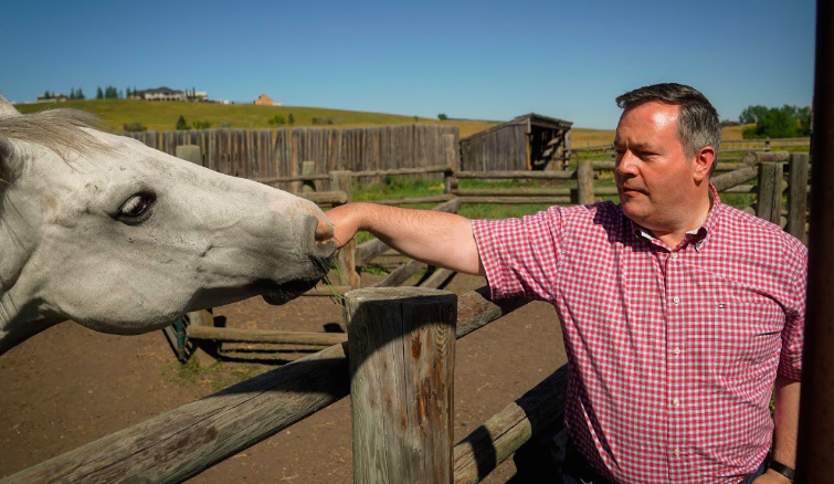Premier Jason Kenney and a horse (source: Twitter)